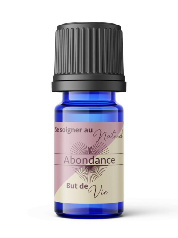 But de vie - Abondance